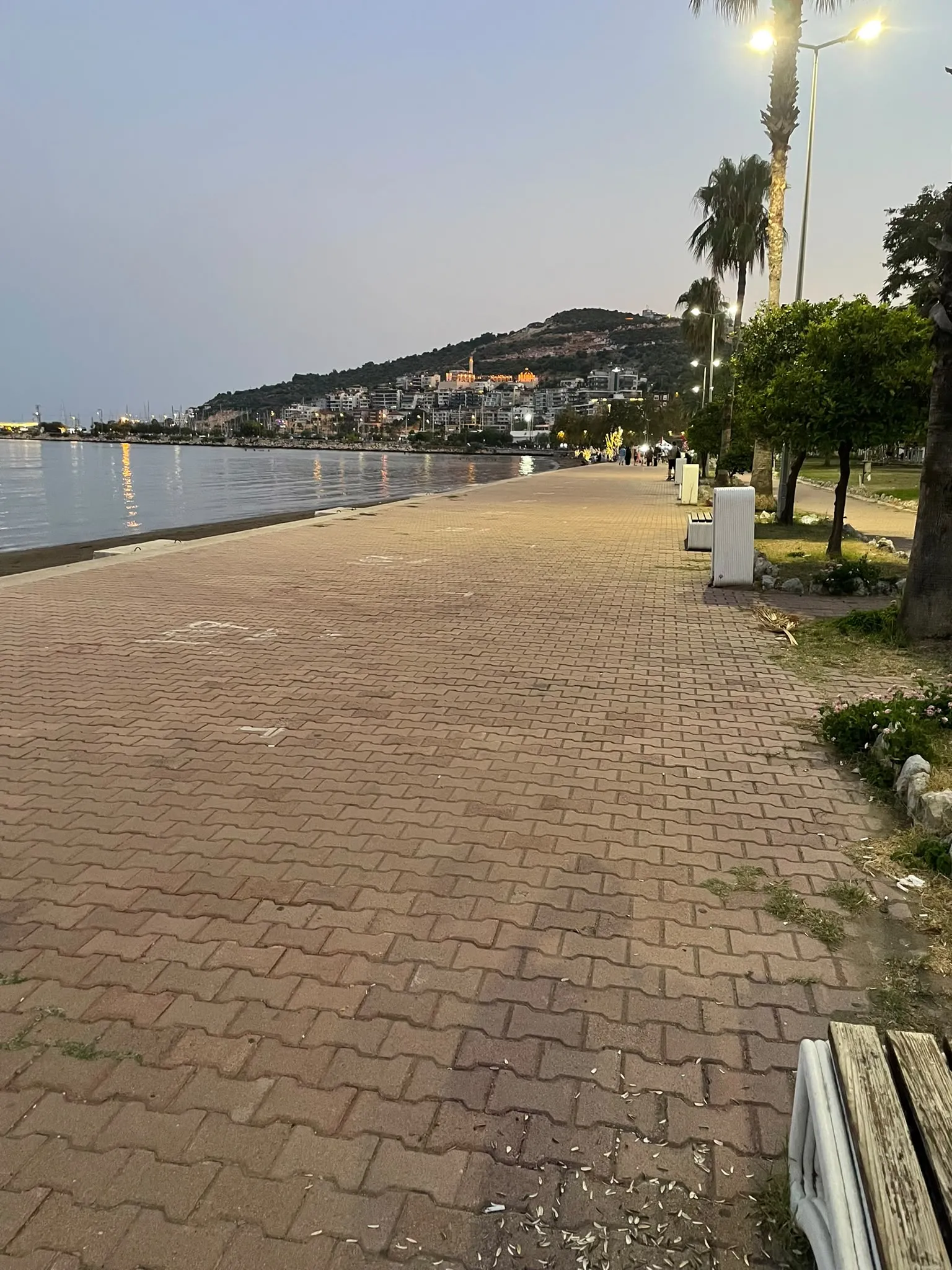FİNİKE VE KUMLUCA SİVRİSİNEĞE TESLİM!